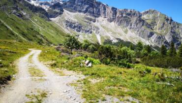 Trailrunning Ernaehrungs Tipps