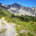 Trailrunning Ernaehrungs Tipps