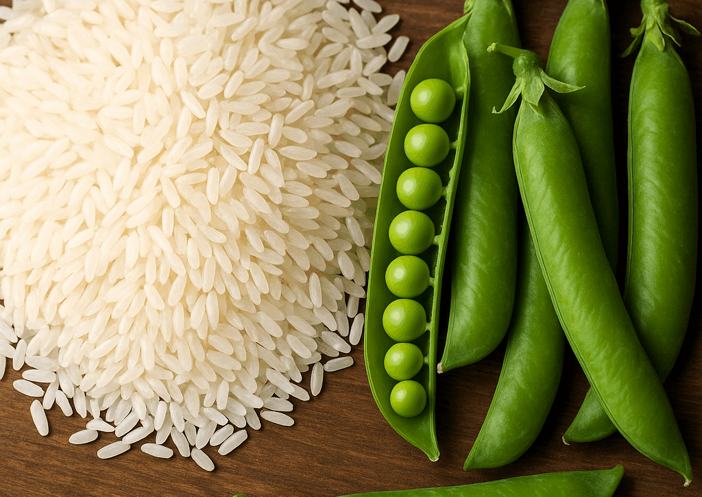 Veganes Protein mit 100% Biologischer Wertigkeit