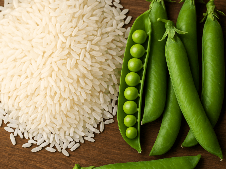 Veganes Protein mit 100% Biologischer Wertigkeit